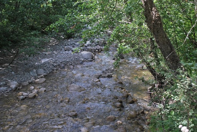 Source de la Bastié