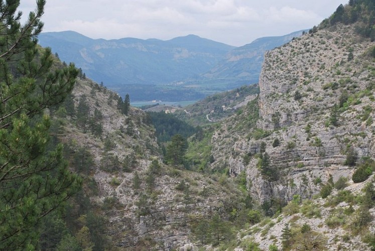 Les Gorges du Riou vues depuis le sentier du Cirque de Saint-Genis