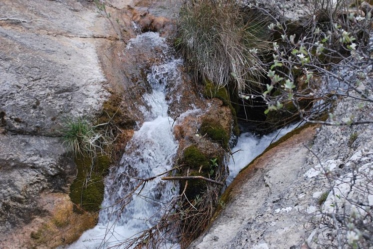 Petite cascade dans les Gorges du Riou