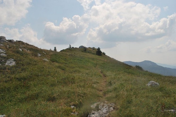 Entre les montagnes de la Sarcéna et de l'Aup