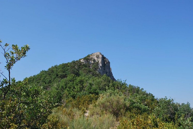 Vue depuis le sentier sur la Montagne du Risou