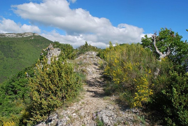 La Crête de Fontarache et son sentier