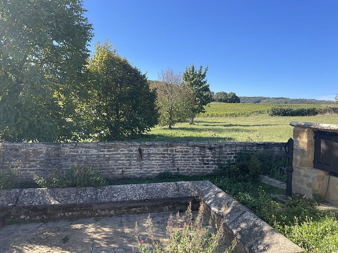 Saules_route-de-culles_LucieCaillaud (3)