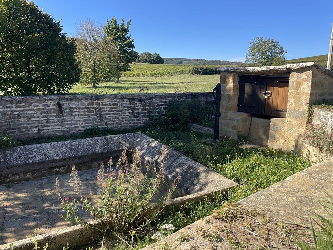 Saules_route-de-culles_LucieCaillaud (2)