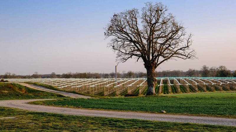 domaine-de-la-berthonniere-001