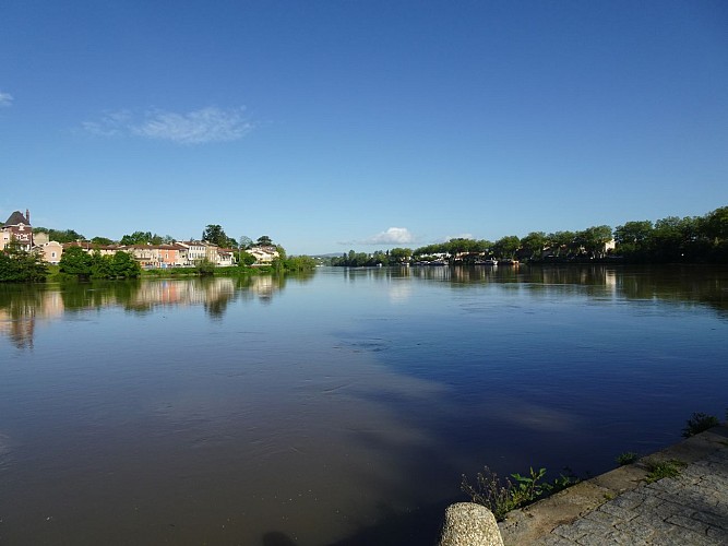 La Saône à Neuville-sur-Saône