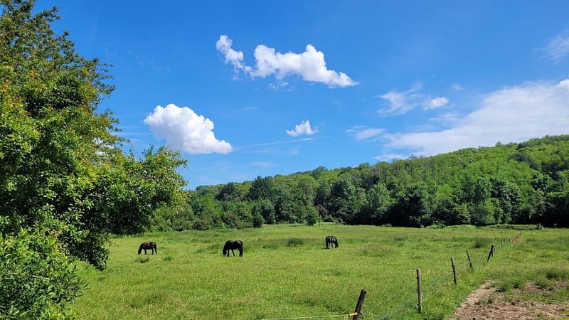 Vallon des Torrières