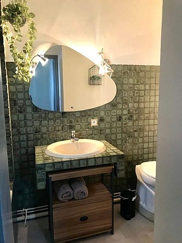 La salle de bain avec une jolie vasque