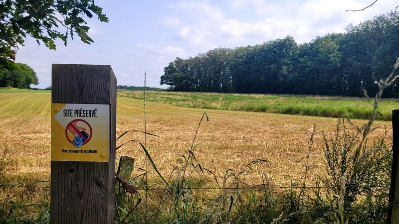 Plateau de Méginand