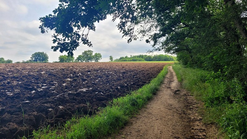 Plateau de Méginand