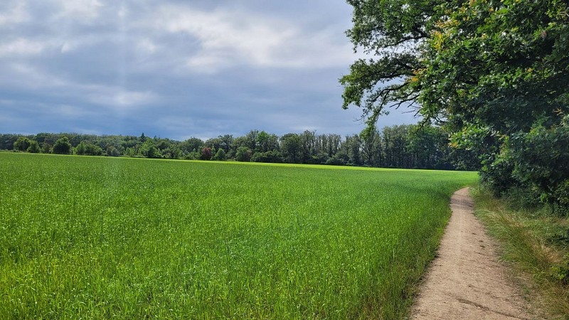 Plateau de Méginand