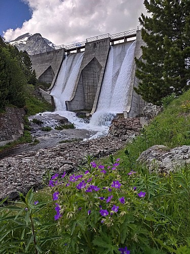 Lac de Plan d'Amont Savoie - Alpes Vanoise à Aussois