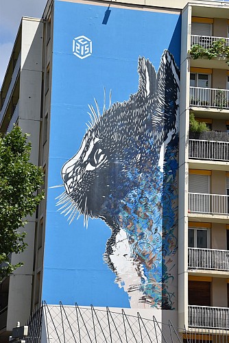 Le chat bleu de C215