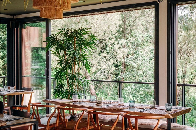 OT Hossegor - EL NIDO - el-nido-restaurant-vue-foret-midi-dejeuner-hossegor