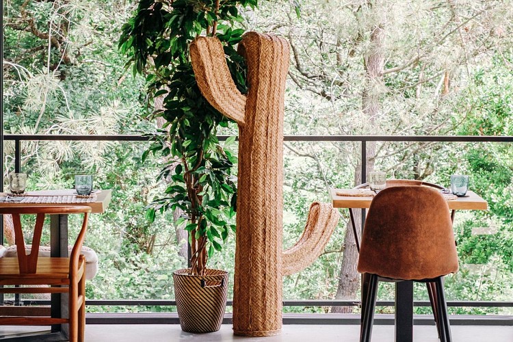 OT Hossegor - EL NIDO - el-nido-salle-vitree-restaurant-brasserie-dejeuner-nature-calme-formule-midi-vue-foret-hossegor-9