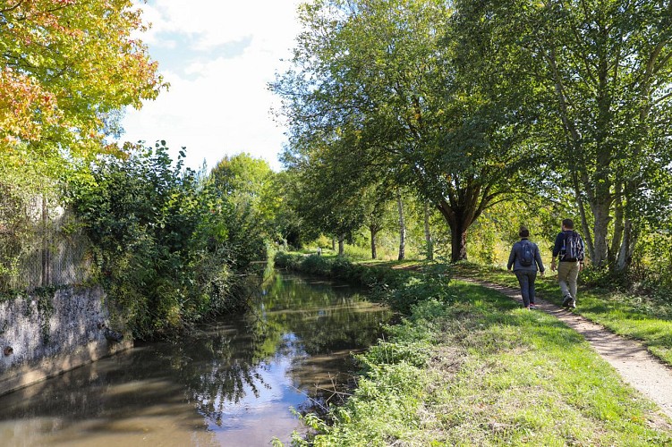 Les Fontaines bouillantes