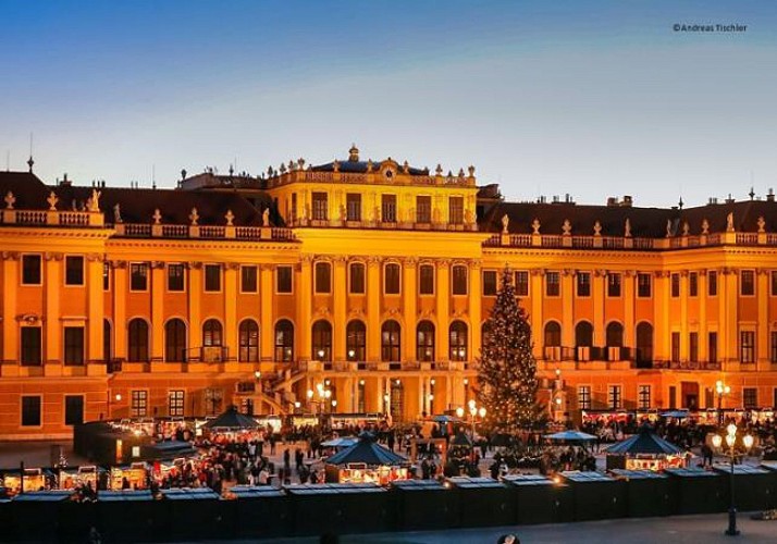 Soirée au Château de Schönbrunn : Concert de musique classique à l'Orangerie & dîner au marché de Noël - Vienne