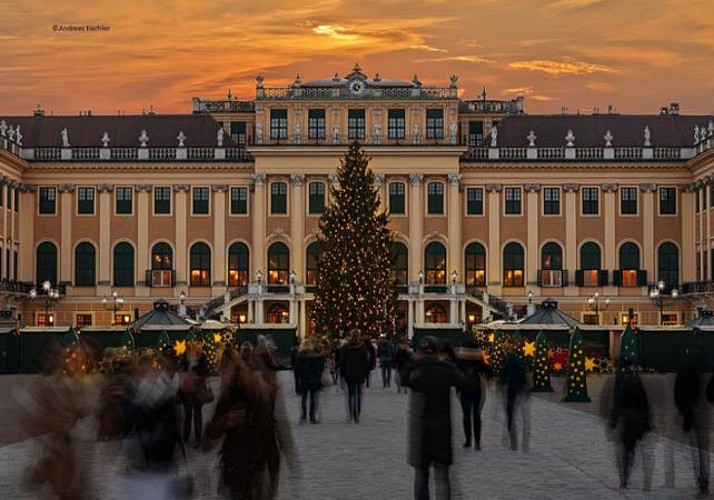 Soirée au Château de Schönbrunn : Concert de musique classique à l'Orangerie & dîner au marché de Noël - Vienne