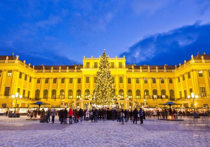 Soirée au Château de Schönbrunn : Concert de musique classique à l'Orangerie & dîner au marché de Noël - Vienne