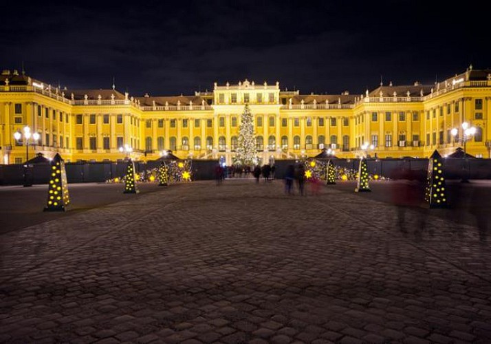 Soirée au Château de Schönbrunn : Concert de musique classique à l'Orangerie & dîner au marché de Noël - Vienne