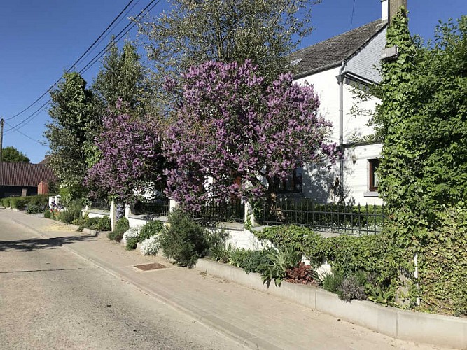 PlumartChevalBayard1