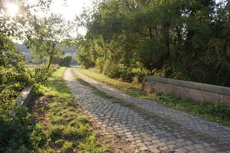 Au-dela-leau-laGrande0