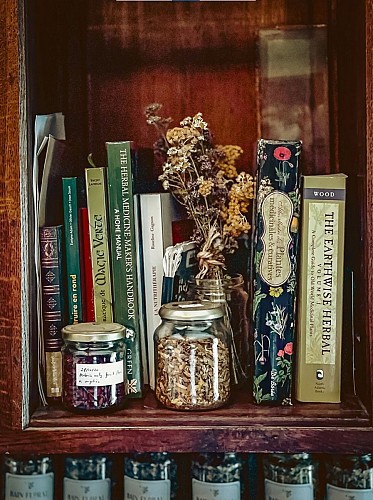 Le charme d adam - livres