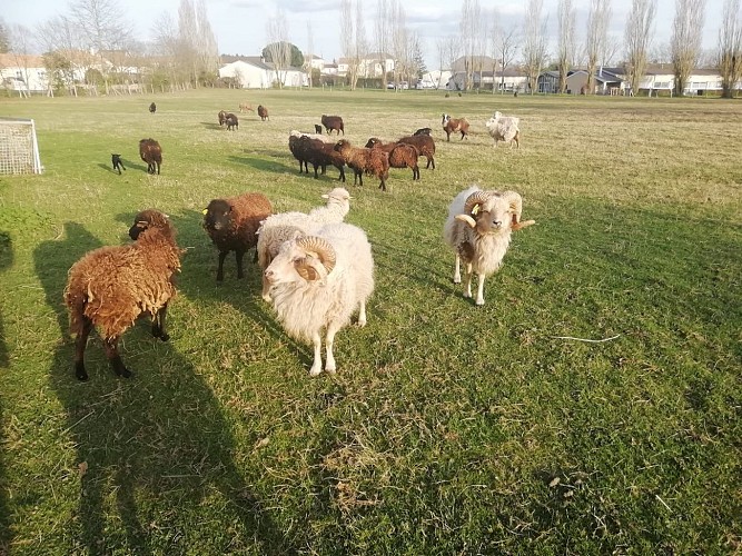 La Ferme de la Jalousie2