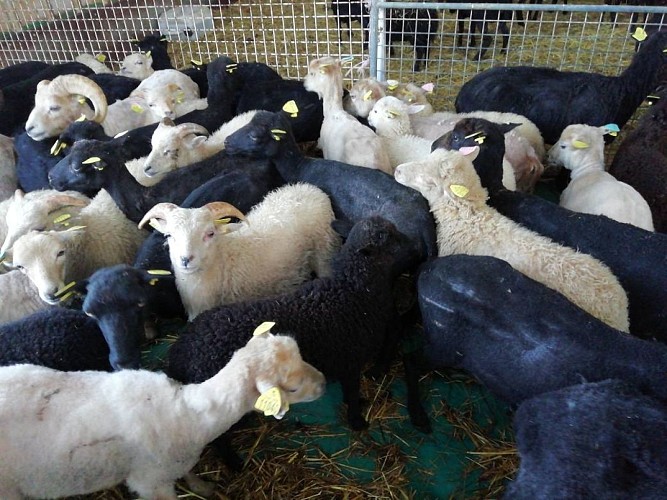 La Ferme de la Jalousie 3