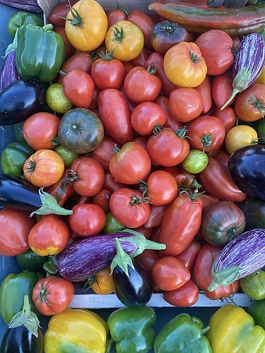 557445004_1267356938526313_3450775972361920856_n