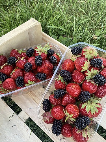 520128214_1205587718036569_78195362571268044_n