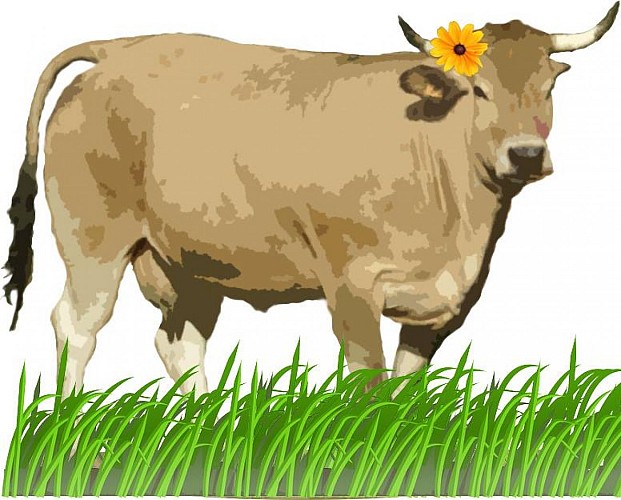 512686769_23967466119560700_4645031043593945181_n