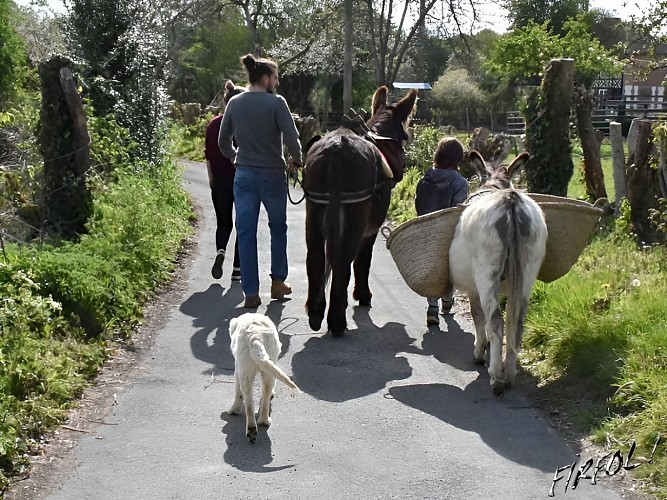 Balade anes Firfol (2)
