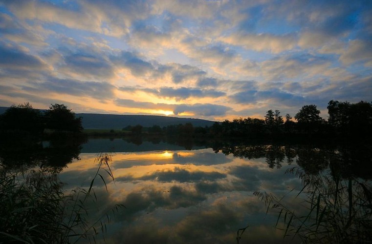 Etang des Pilles