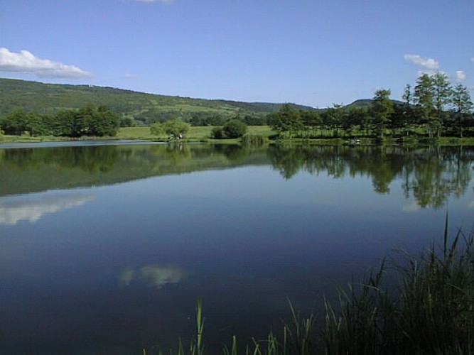 Etang des Pilles