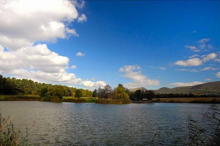 Etang des Pilles