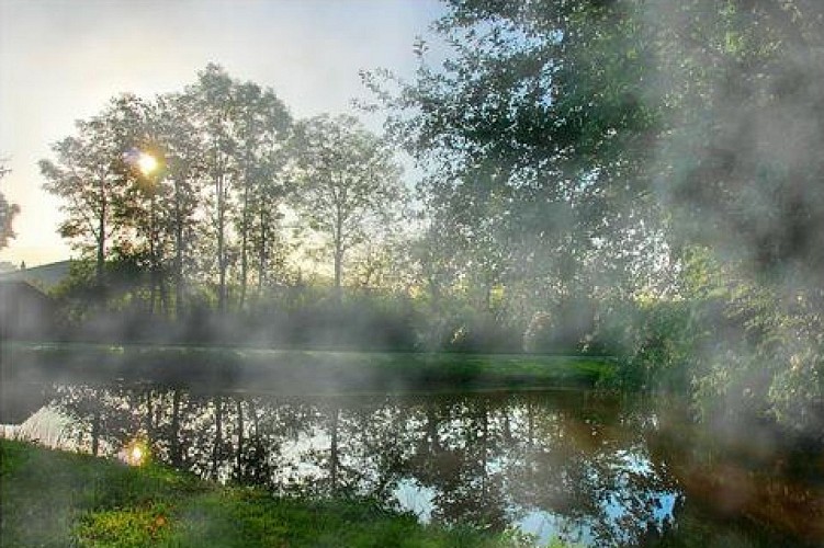 Etang des Pilles