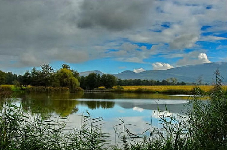 Etang des Pilles