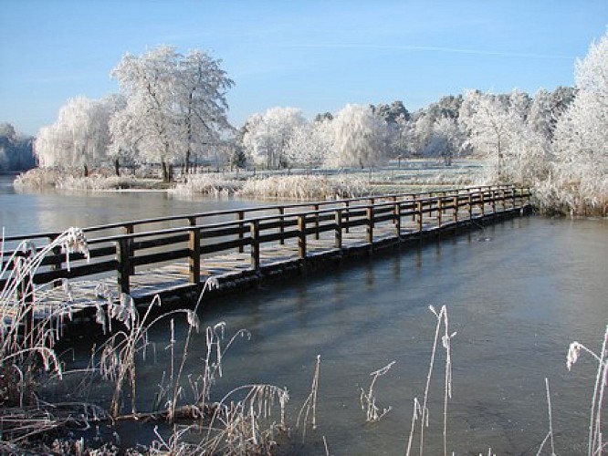 Etang des Pilles