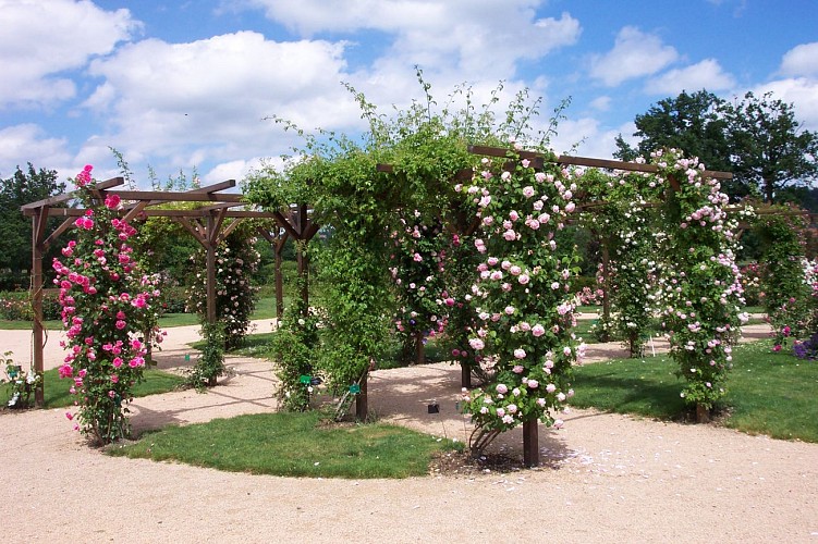La Roseraie de Saint-Galmier