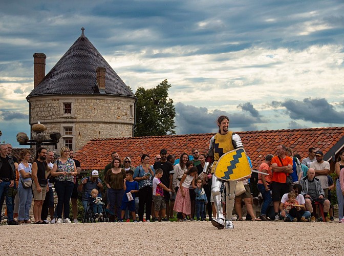 Château de Treffort