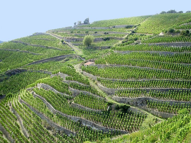 Colline de l'Hermitage