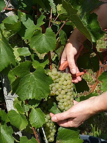 Domaine Véronique Antoine