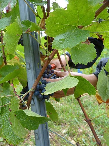 Domaine Véronique Antoine