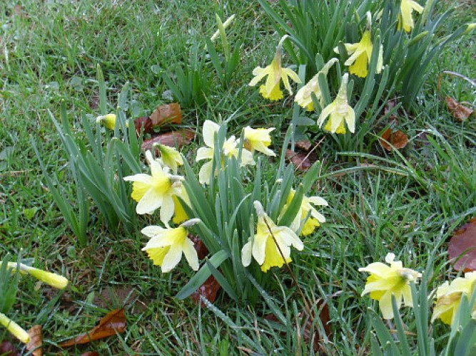 Plateau de Vergongeat