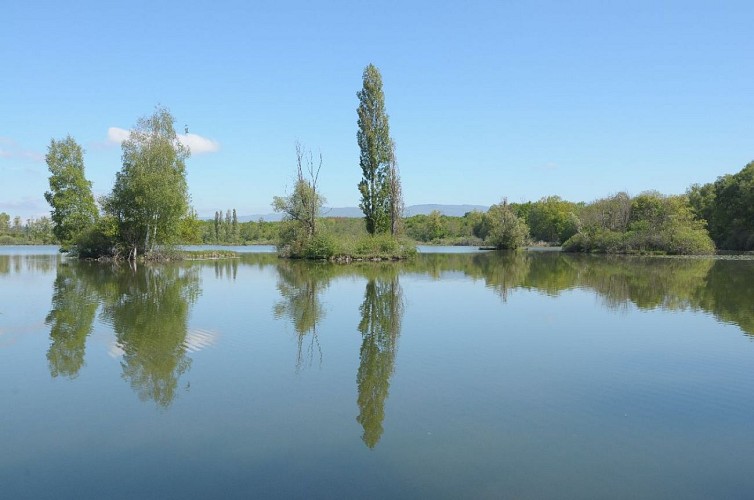 Save Sensitive Natural Area, étangs de la Serre lakes sector