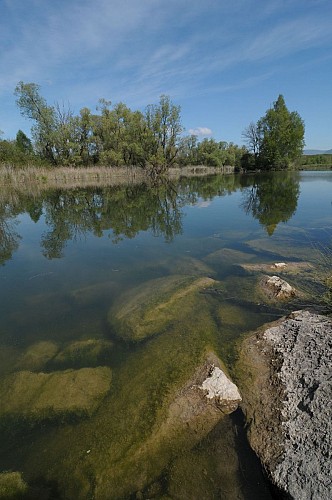 Save Sensitive Natural Area, étangs de la Serre lakes sector
