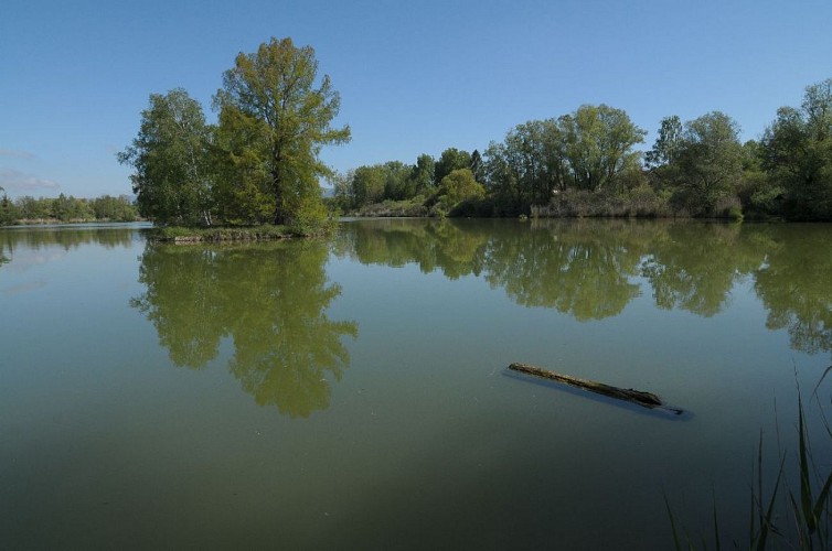Espace Naturel Sensible de la Save - Secteur des Étangs de la Serre