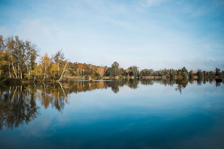 Espace Naturel Sensible de la Save - Secteur des Étangs de la Serre