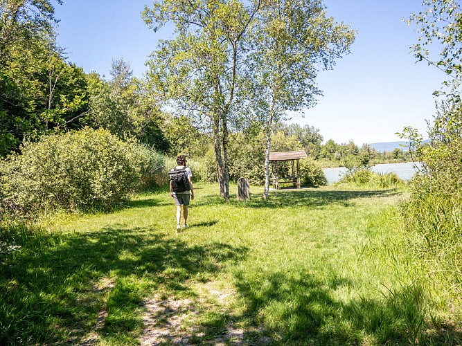 Aire de pique-nique d'Arandon-Passins